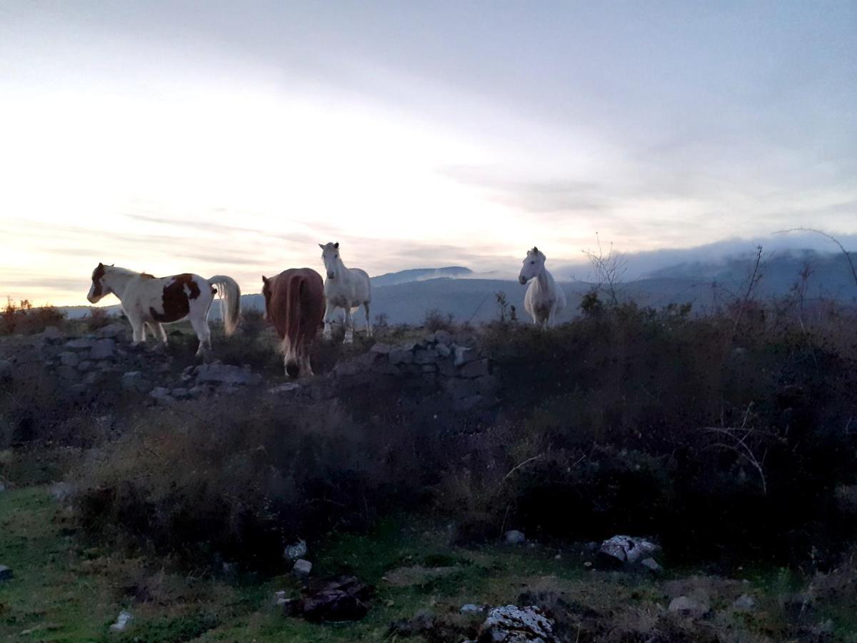 Casasdetrevijano Mirador De Mateo Villa Soto en Cameros Buitenkant foto